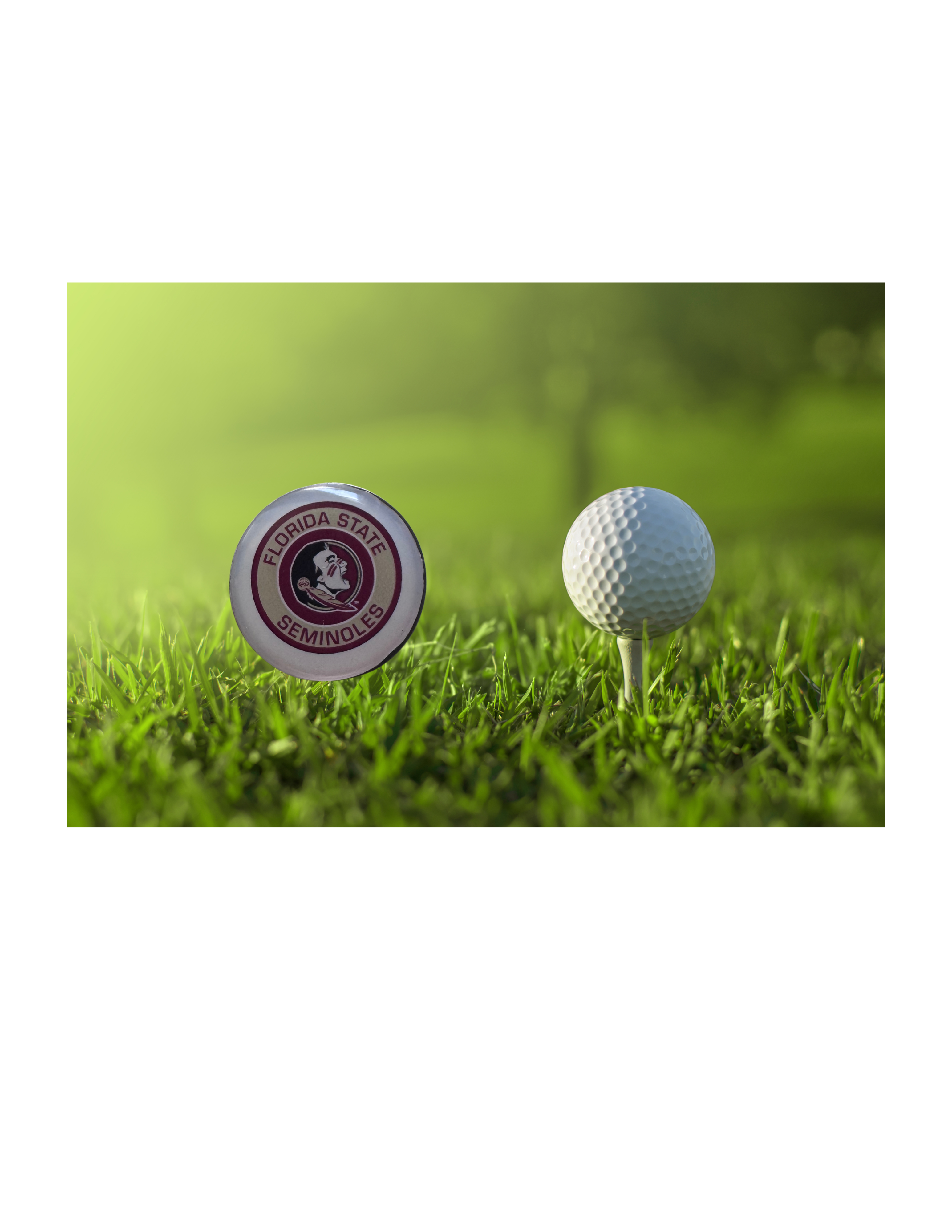 Florida State Seminoles Golf Ball Marker, Magnetic Accessory, Football Fan Golfer Gift