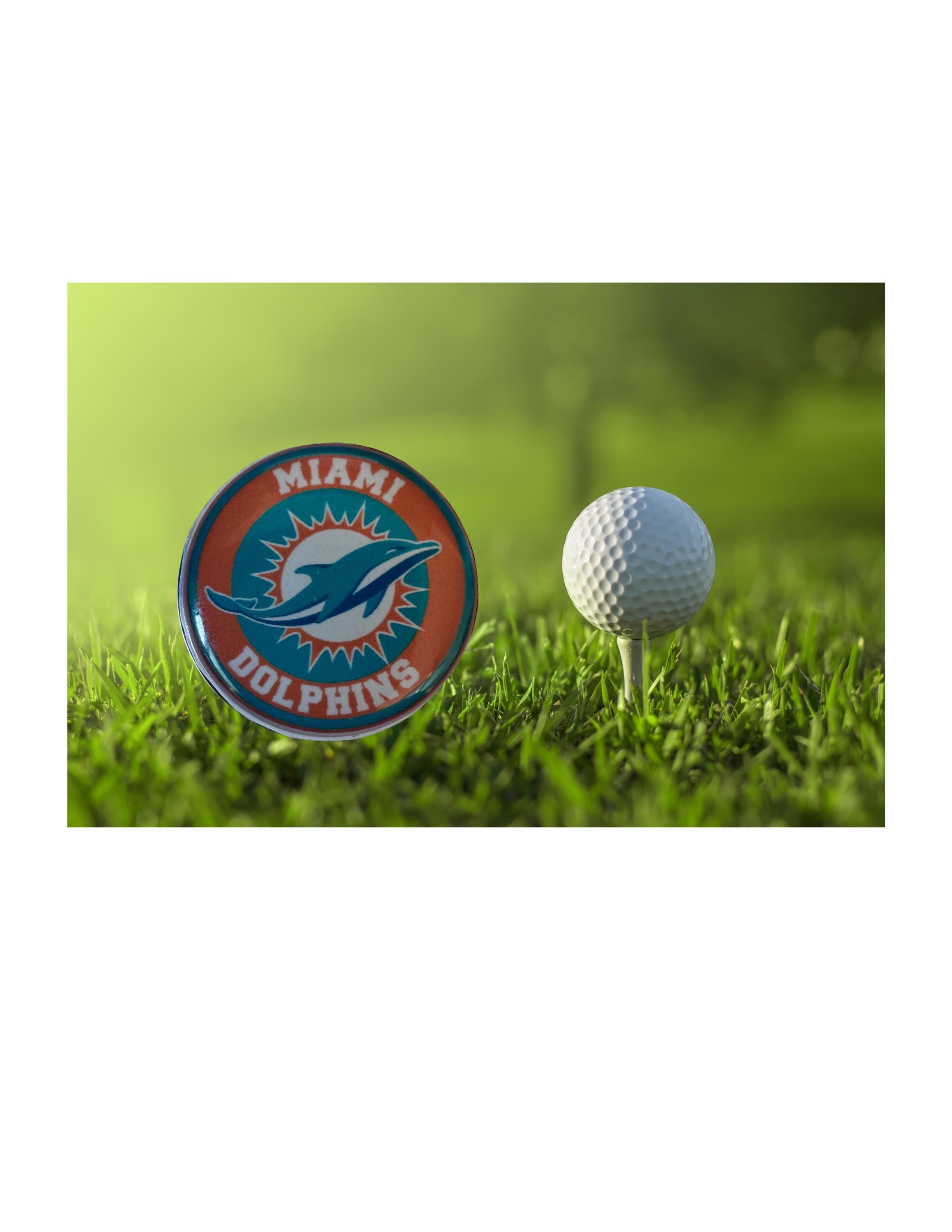 Miami Dolphins Golf Ball Marker, Magnetic Accessory, Football Fan Golfer Gift
